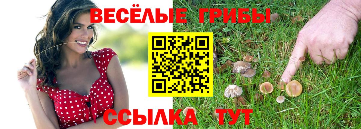 Знаменск  купить  сайты  Вход с VPN  Псилоцибиновые грибы прущие грибы 