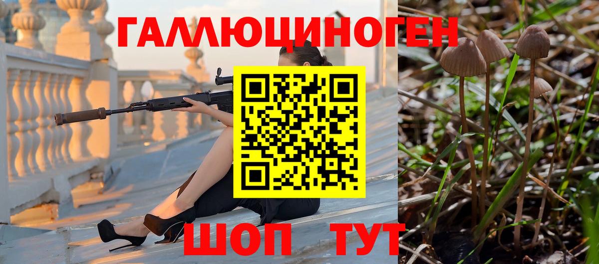 Псилоцибиновые грибы мицелий Знаменск
